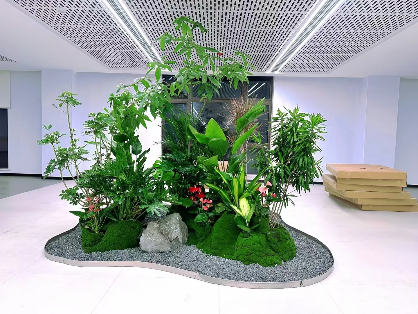 海曙办公室植物租赁-海曙花木租赁设备-奉化办公室植物租赁-慈溪花木租摆网络平台